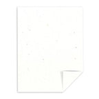 Stardust White
