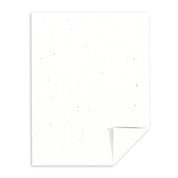 Stardust White