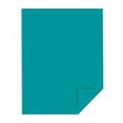 Terrestrial Teal