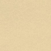 Astroparche® Aged Vellum 30% Recycled, 65 lb. Cover, 8.5" x 11", Pack of 250 Sheets