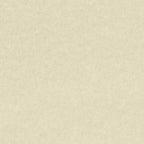 Astroparche® Natural Vellum 30% Recycled, 60 lb. Text, 8.5" x 11", Pack of 500 Sheets