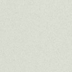 Royal Sundance® Gray Fiber, 80 lb. Cover, 8.5" x 11", Pack of 250 Sheets